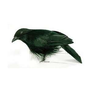  Midwest Design Feather Birds 4 1/Pkg Black Standing Crow 