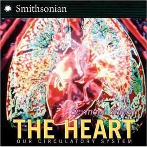  The Heart Our Circulatory System [Paperback] Seymour 