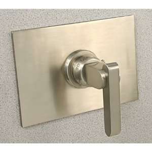   Decorative Thermostatic Shower Control Polished Chrome: Home & Kitchen