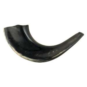   Black Rams Horn Polished Shofar Made in Israel Musical Instruments