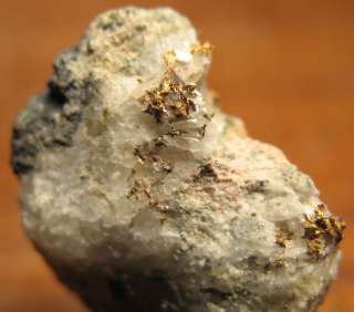 Cool Gold in/on Quartz Idarado Mine, Colorado col. 1973  