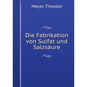  Die Fabrikation von Sulfat und SalzsÃ¤ure Theodor Meyer Books