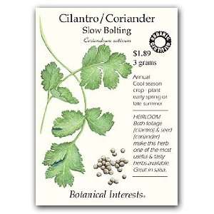  Cilantro/Coriander Organic Seeds: Patio, Lawn & Garden