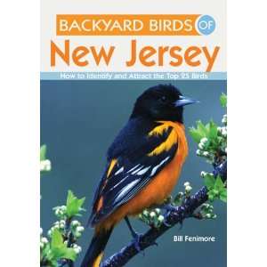  Backyard Birds of New Jersey   Book Series, Top 25 Common 