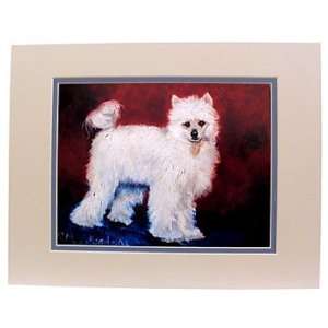 Chinese Crested Matted Print