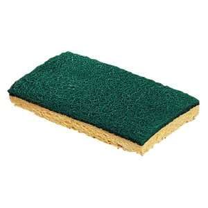   Inch Sponge with Green Scour Pad  Industrial & Scientific