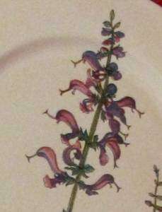   Boch China Botanica 15 Oval Platter Salvia Pratensis Nr Mint  