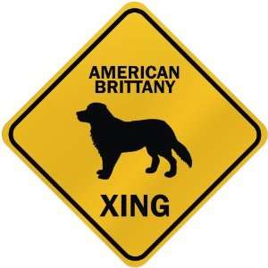   : ONLY  AMERICAN BRITTANY XING  CROSSING SIGN DOG: Home Improvement