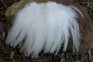 50+ PURE SNOW WHITE ROOSTER SADDLE HACKLE FEATHERS 5 7  