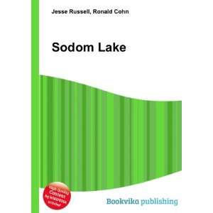  Sodom Lake Ronald Cohn Jesse Russell Books
