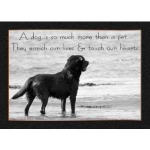  Pet Dog Sympathy Card   Touch Our Hearts: Health 