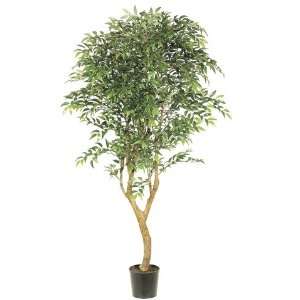 Pack of 2 Decorative Smilax Trees with Round Pots 6 