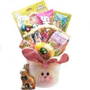   Easter Candy Gift Basket for Kids  Grocery & Gourmet Food