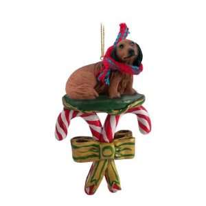 DACHSHUND Dog Red Long Hair CANDY CANE Christmas Ornament DCC60A