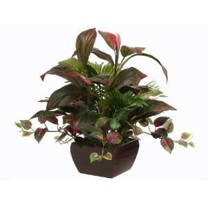20 Cordyline/Fountain Palm/Coleus in Square Wood Container Green Pink 
