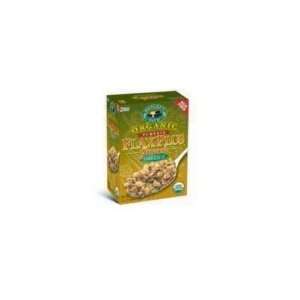 Natures Path Organic Flax Plus W/P: Grocery & Gourmet Food