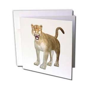  Boehm Graphics Animal   Mountain Lion   Greeting Cards 12 
