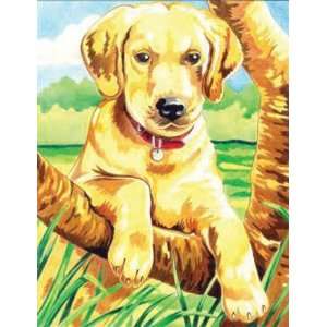    Color By Number Kit 9X12 Labrador (PPCN 18) Toys & Games