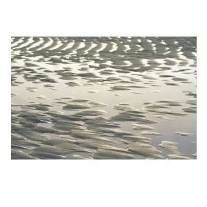  Ripple Patterned Tidal Flat at Low Tide, Brewster, Cape 