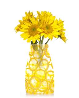 Reva Vase Amazing Flat Expandable Vase 7.5 x 10.5   7 Designs 