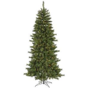  6 Multi Pre Lit Bradford Fir Christmas Tree: Home 