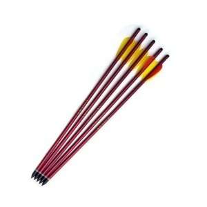  5 Piece 15  Overall Size Metal Arrows 