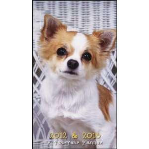  Chihuahua Puppy 2012 Pocket Planner: Office Products