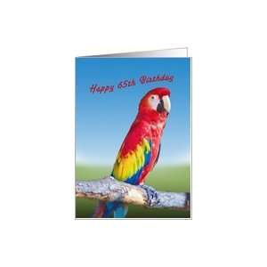  Birthday, 65th, Macaw Parrot Card: Toys & Games