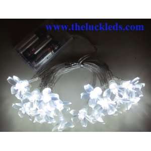  Theluckleds 8.2ft White 20 LED plum blossom LED string 