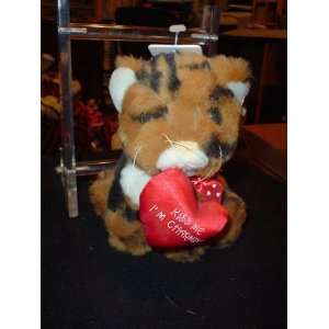  KISS ME CHARMING STUFFED VALENTINES TIGER Toys & Games