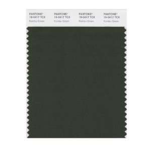   SMART 19 0417X Color Swatch Card, Kombu Green: Home Improvement