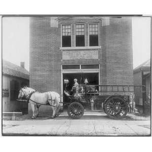   Horse drawn fire truck,Webster Groves Fire,St Louis,MO: Home & Kitchen