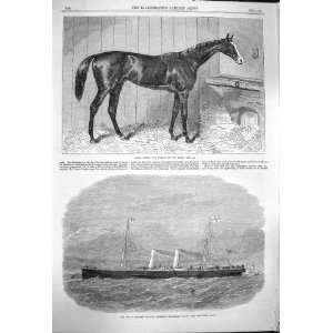  1864 Blair Athol Horse Derby Railway Ship Avalon