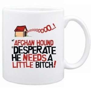  New  My Afghan Hound Is Desperate   Mug Dog