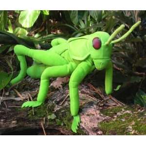  Grasshopper 20 Glove Puppet Toys & Games