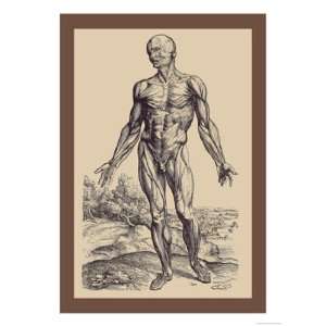 First Plate of the Muscles by Andreas Vesalius 12x18:  