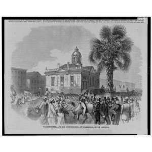  Palmetto tree,House,Charleston,South Carolina 1860