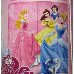  Disney Princess Hearts & Crowns Sleeping Bag: Home 