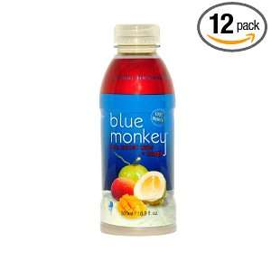 Blue Monkey Coconut Mango All Natural juices Drink, 16.9 Ounce (Pack 