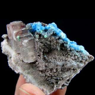 Radiating Sky Blue Cyanotrichite Crystal&Fluorite C2272  