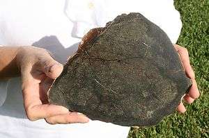 full slice of NWA 2871 meteorite acapolcoite / lodranite 180x145mm 