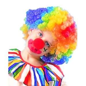    Childs Rainbow Clown Wig Costume Accessory: Everything Else