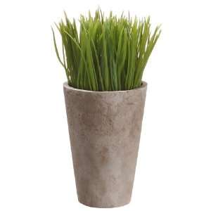  Faux 9.5 Grass in Paper Mache Pot Green (Pack of 6) Patio 