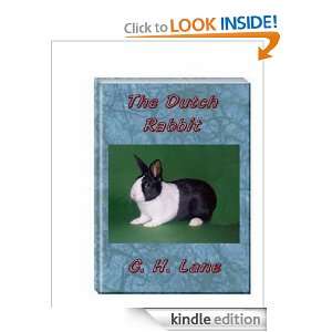 The Dutch Rabbit: C.H. Lane:  Kindle Store