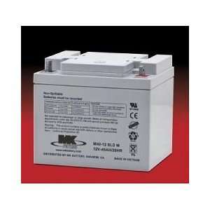   Volt   45 AMP Sealed Light Duty AGM Batteries: Health & Personal Care