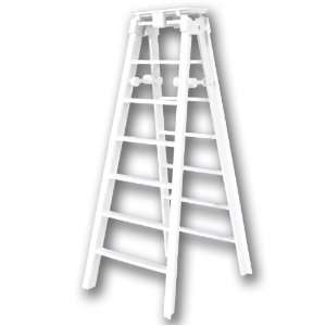   Ladder for WWE Jakks Mattel Wrestling Action Figures Toys & Games