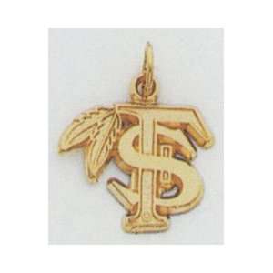  Florida State University Letters Charm  XC611 Jewelry