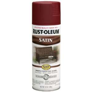    Oleum 248635 12 Ounce Spray Paint, Satin Cabernet: Home Improvement