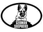 german shepherd puppies  