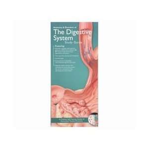 Anatomy and Disorders of the Digestive System Pocket Study Guide   2nd 